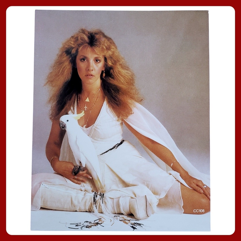 Stevie Nicks Fleetwood Mac Headshot S&M Rock Photograph Portrait 8x10‎ Glossy 35